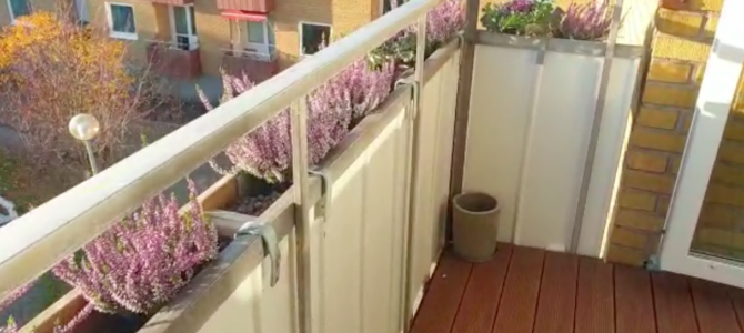 Ibland blir tanken en lyckad idé Ibland blir tanken en lyckad idé