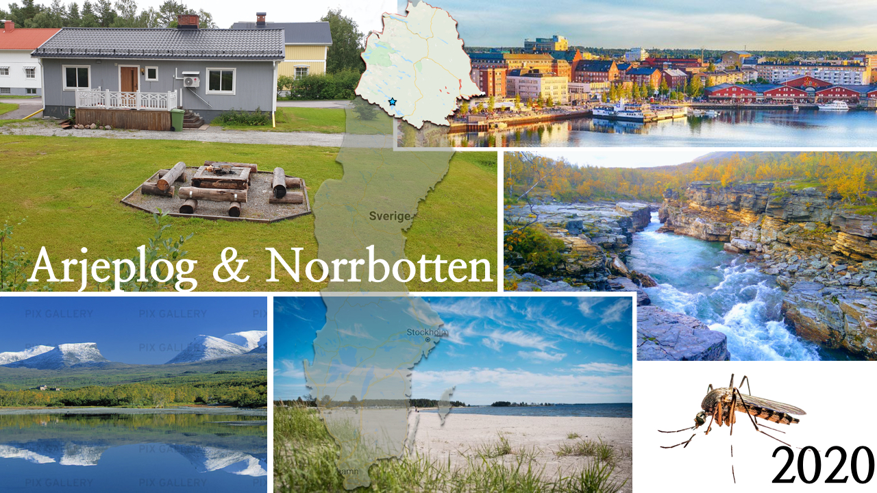 Arjeplog & Norrbotten 2020