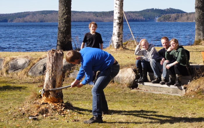 Vårens arbetsdag 2011