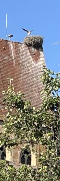20260619-Frankrike-IMG_E0080